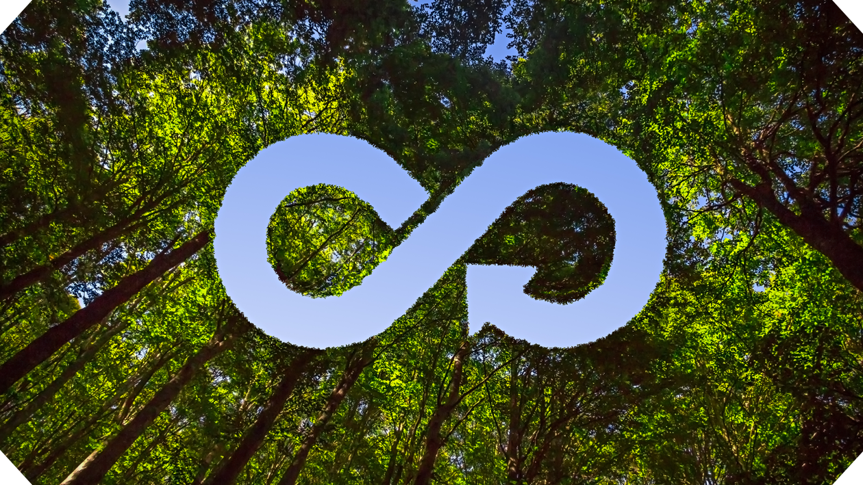 Bombas de calor y energ&iacute;as renovables: un futuro sostenible
